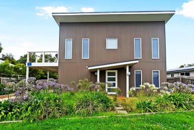 House For Lease - VIC - Apollo Bay - 3233 - COMFORTABLE COASTAL HOME IN QUIET APOLLO BAY LOCATION  (Image 2)