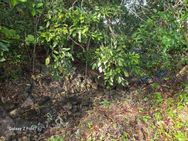 Industrial/Warehouse For Sale - QLD - Cooktown - 4895 - Former Marton Store, Mechanical Workshop & Living Quarters (Image 2)