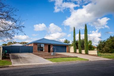 House For Sale - SA - Naracoorte - 5271 - Modern living in easy-upkeep surrounds  (Image 2)