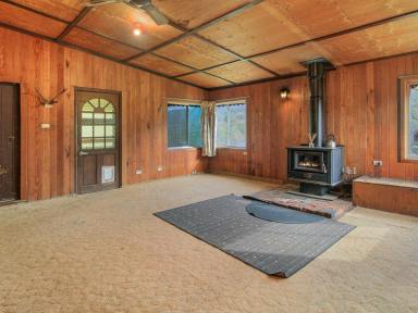 House For Sale - VIC - Omeo - 3898 - RIVER VIEWS, SPACE & DIRECT MOUNTAIN BIKE TRAIL ACCESS  (Image 2)