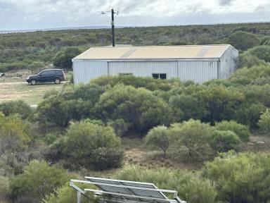 Other (Rural) For Sale - WA - Yallabatharra - 6535 - 2000 ha with Ocean views - Power, Water, Sheds and accommodation.  (Image 2)