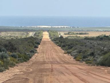Other (Rural) For Sale - WA - Yallabatharra - 6535 - 2000 ha with Ocean views - Power, Water, Sheds and accommodation.  (Image 2)