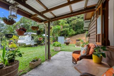 House For Sale - QLD - Kuranda - 4881 - Be quick for this affordable little gem (Image 2)