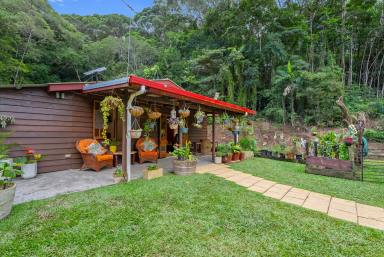 House For Sale - QLD - Kuranda - 4881 - MOST AFFORDABLE ACREAGE IN KURANDA (Image 2)