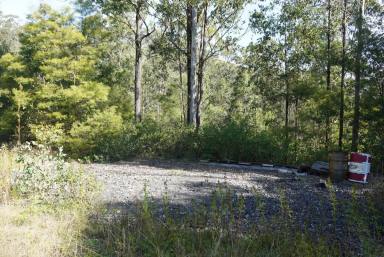 Lifestyle For Sale - NSW - Deep Creek - 2469 - A Sanctuary of Wildlife, Privacy & Peace  (Image 2)