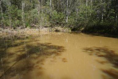 Lifestyle For Sale - NSW - Deep Creek - 2469 - A Sanctuary of Wildlife, Privacy & Peace (Image 2)