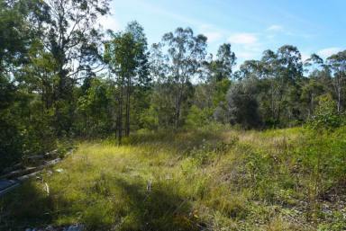 Lifestyle For Sale - NSW - Deep Creek - 2469 - DEEP IN THE JUNGLE (Image 2)