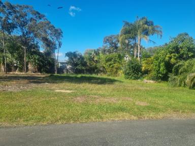 Residential Block Sold - QLD - Macleay Island - 4184 - Build Your Island Dream in a Peaceful Setting  (Image 2)