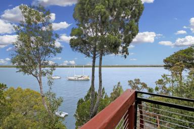 House For Sale - QLD - Macleay Island - 4184 - Exceptional Bay Vistas, Stunning Sunsets & Direct Water Access  (Image 2)