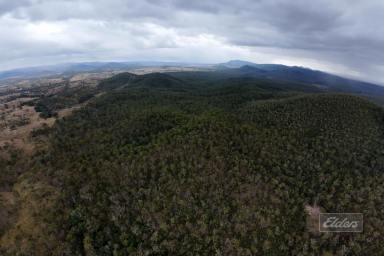 Residential Block For Sale - QLD - Woolooga - 4570 - ESCAPE TO NATURE – 243 ACRES OF PURE PRIVACY  (Image 2)