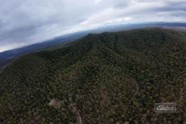 Residential Block For Sale - QLD - Woolooga - 4570 - ESCAPE TO NATURE – 243 ACRES OF PURE PRIVACY  (Image 2)