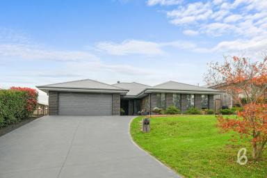 House Sold - NSW - Greta - 2334 - Expansive Modern Family Home with Shed & Swim Spa  (Image 2)