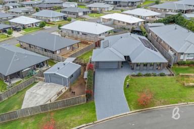 House For Sale - NSW - Greta - 2334 - Expansive Modern Family Home with Shed & Swim Spa  (Image 2)