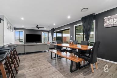 House For Sale - NSW - Greta - 2334 - Expansive Modern Family Home with Shed & Swim Spa (Image 2)