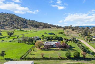 Lifestyle For Sale - NSW - Werris Creek - 2341 - BEAUTIFUL HOME AND LIFESTYLE IN A CONVENIANT LOCATION (Image 2)
