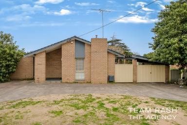 House For Sale - WA - Wanneroo - 6065 - Nest or Invest – Unlock the Potential with Subdivision Opportunities  (Image 2)