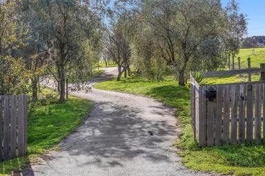 Lifestyle For Sale - VIC - Wallington - 3222 - Untapped Commercial Agricultural Opportunity (Image 2)