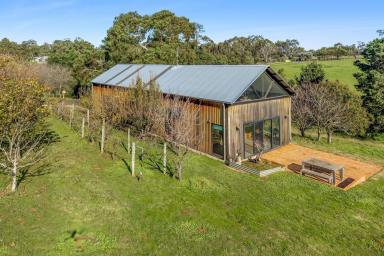 Lifestyle For Sale - VIC - Wallington - 3222 - Untapped Commercial Agricultural Opportunity (Image 2)