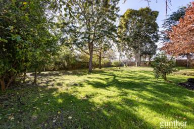 Residential Block For Sale - VIC - Healesville - 3777 - Rare Development Opportunity  (Image 2)
