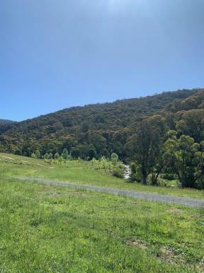 Residential Block For Sale - NSW - Tumut - 2720 - Snowy Mountains Escape! (Image 2)