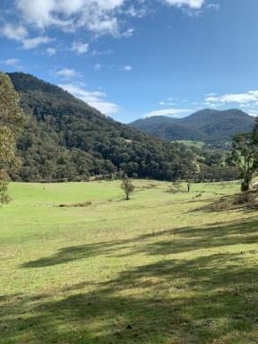Residential Block For Sale - NSW - Tumut - 2720 - Snowy Mountains Escape! (Image 2)