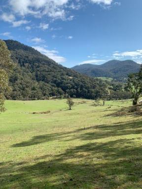Residential Block For Sale - NSW - Tumut - 2720 - Snowy Mountains Escape! (Image 2)
