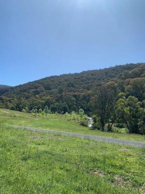 Residential Block For Sale - NSW - Tumut - 2720 - Snowy Mountains Escape!  (Image 2)