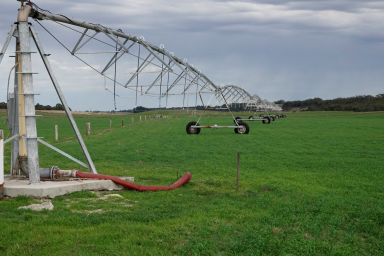 Mixed Farming For Sale - SA - Tintinara - 5266 - LARGE SCALE IRRIGATION PROPERTY IN RENOWNED DISTRICT - FORMER DAIRY (Image 2)