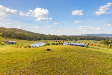 Lifestyle For Sale - NSW - Millfield - 2325 - Spectacular Acreage with a Country Homestead and Two Separate Studios (Image 2)