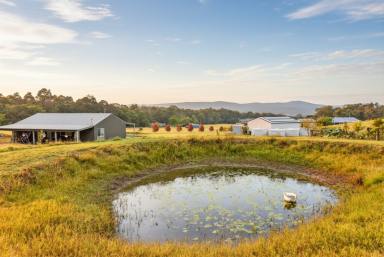 Lifestyle For Sale - NSW - Millfield - 2325 - Spectacular Acreage with a Country Homestead and Two Separate Studios (Image 2)