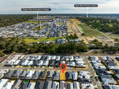 Residential Block For Sale - WA - Baldivis - 6171 - Titled Block of Land Ready for You to Build in Baldivis  (Image 2)