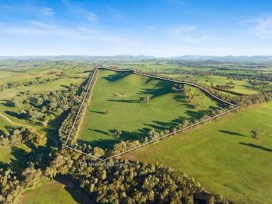 Lifestyle For Sale - VIC - Lurg - 3673 - Breathtaking Views, Lifestyle Living & Income Potential on 82 Acres  (Image 2)