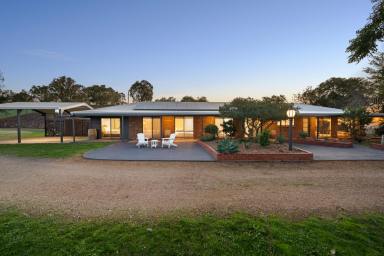 Lifestyle For Sale - VIC - Lurg - 3673 - Breathtaking Views, Lifestyle Living & Income Potential on 82 Acres  (Image 2)