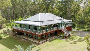 Acreage/Semi-rural For Sale - QLD - The Palms - 4570 - Private Queenslander Retreat with Dual Living, Mountain Views & Sustainable Lifestyle Appeal  (Image 2)