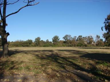 Other (Residential) Leased - NSW - Muswellbrook - 2333 - LEASE EXPRESSIONS OF INTEREST On this Colorbond Shed and Alluvial Acres on the Edge of Town (Image 2)