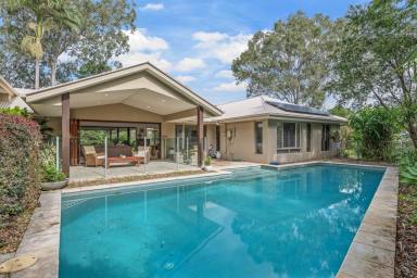 House For Lease - QLD - Eumundi - 4562 - Lease Until March 2027 - Fully Furnished Hinterland Acreage Retreat in Eumundi  (Image 2)