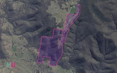 Lifestyle For Sale - NSW - Locksley - 2795 - 318 Acres with Dual Occ & Eco Potential (Image 2)