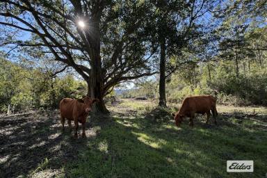 Livestock For Sale - QLD - Townson - 4341 - "Stoney Creek" – Rare 492-Acre Property  (Image 2)