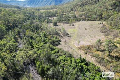 Livestock For Sale - QLD - Townson - 4341 - "Stoney Creek" – Rare 492-Acre Property  (Image 2)