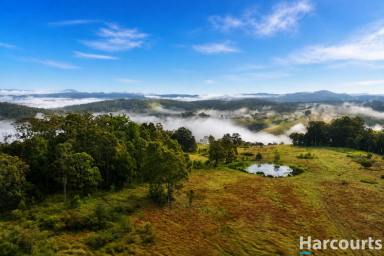 Residential Block For Sale - NSW - Glen Martin - 2321 - Your Dream Acreage Awaits – Panoramic Views & Endless Potential  (Image 2)