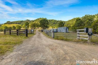 Residential Block For Sale - NSW - Glen Martin - 2321 - Your Dream Acreage Awaits – Panoramic Views & Endless Potential (Image 2)