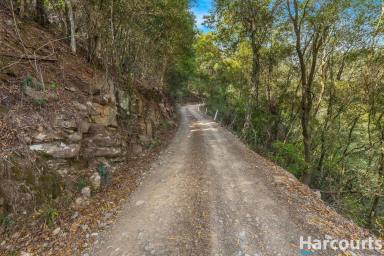 Residential Block For Sale - NSW - Glen Martin - 2321 - Your Dream Acreage Awaits – Panoramic Views & Endless Potential (Image 2)