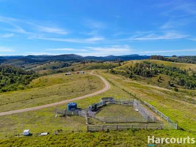 Residential Block For Sale - NSW - Glen Martin - 2321 - Your Dream Acreage Awaits – Panoramic Views & Endless Potential  (Image 2)