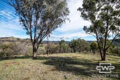 Lifestyle For Sale - NSW - Bendemeer - 2355 - Top of the Moonbi Ranges  (Image 2)