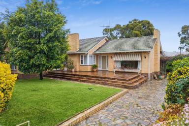 House For Sale - VIC - Eaglehawk - 3556 - Timeless Charm, Exceptional Space & Endless Potential  (Image 2)