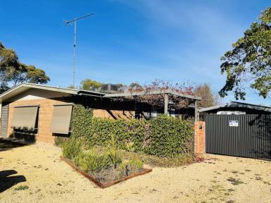 House For Sale - SA - Coonalpyn - 5265 - Country Living, almost off grid!! (Image 2)