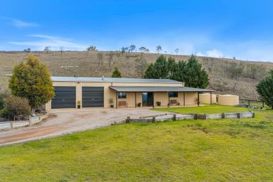 Lifestyle For Sale - NSW - Mudgee - 2850 - "GUNTA WOT" – THE ULTIMATE PROPERTY & LIFESTYLE ESCAPE  (Image 2)