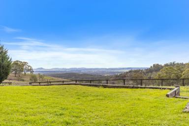 Lifestyle For Sale - NSW - Mudgee - 2850 - "GUNTA WOT" – THE ULTIMATE PROPERTY & LIFESTYLE ESCAPE (Image 2)