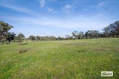 Residential Block For Sale - VIC - Eppalock - 3551 - A Premium 20 Acres Surrounded by Natural Beauty  (Image 2)