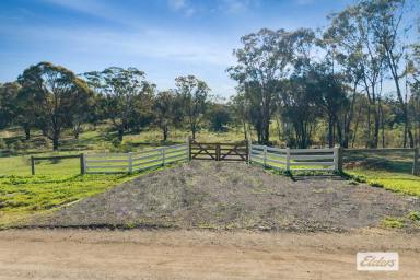 Residential Block For Sale - VIC - Eppalock - 3551 - A Premium 20 Acres Surrounded by Natural Beauty  (Image 2)